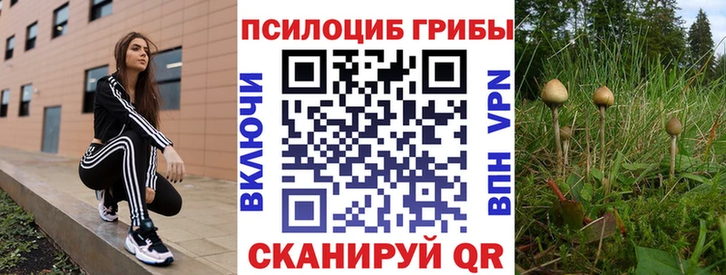 Псилоцибиновые грибы мухоморы  Руза 